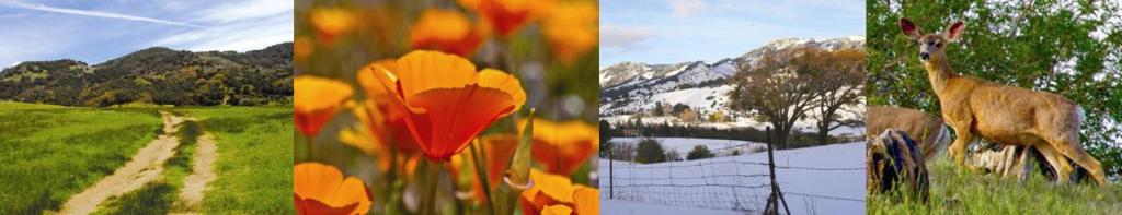 Volcan Mountain Foundation