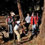 teaching about the bull thistle to be removed from trail